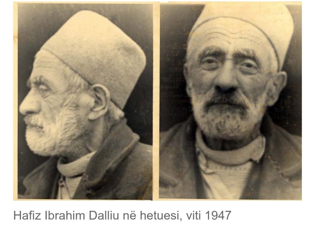 Hafiz Ibrahim Dalliu, Veprimtar I Rilindjes Kombëtare